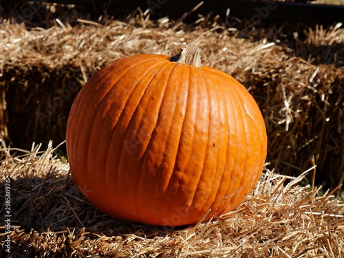 Close up of an orange pumpkin on haybales at a farmer's market