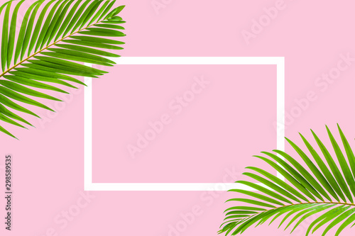 Natural palm leaf with white frame on pastel pink background  nature background