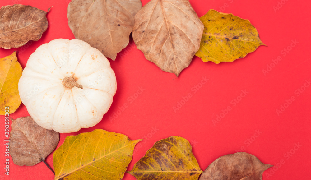 Festive autumn, Halloween and Thanksgiving day pumpkins and leaves Festive autumn, Halloween and Thanksgiving day pumpkins and leaves