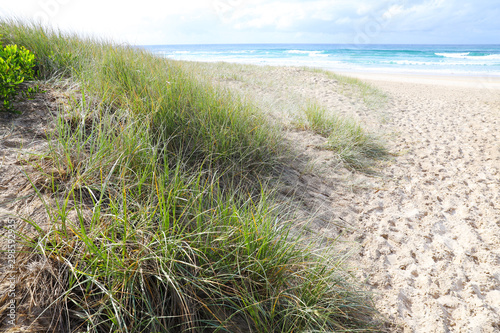 Sand dunes at the beach