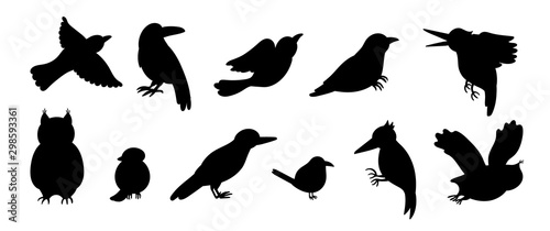 Vector set of cartoon style hand drawn flat funny cuckoos, woodpeckers, owls, raven, wren silhouettes. Cute black and white illustration of woodland birds for children’s design. .