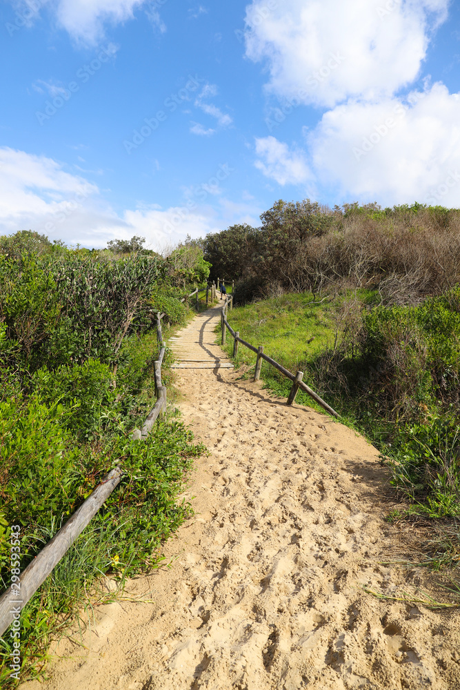 Sandy beach access on a sunny day Sandy beach access on a sunny day