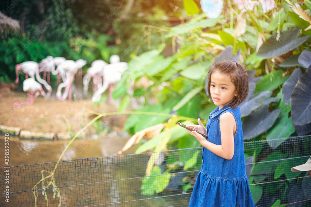 Asian kids girls are traveling and learning in the zoo with pleasure and fun. Asian kids girls are traveling and learning in the zoo with pleasure and fun.