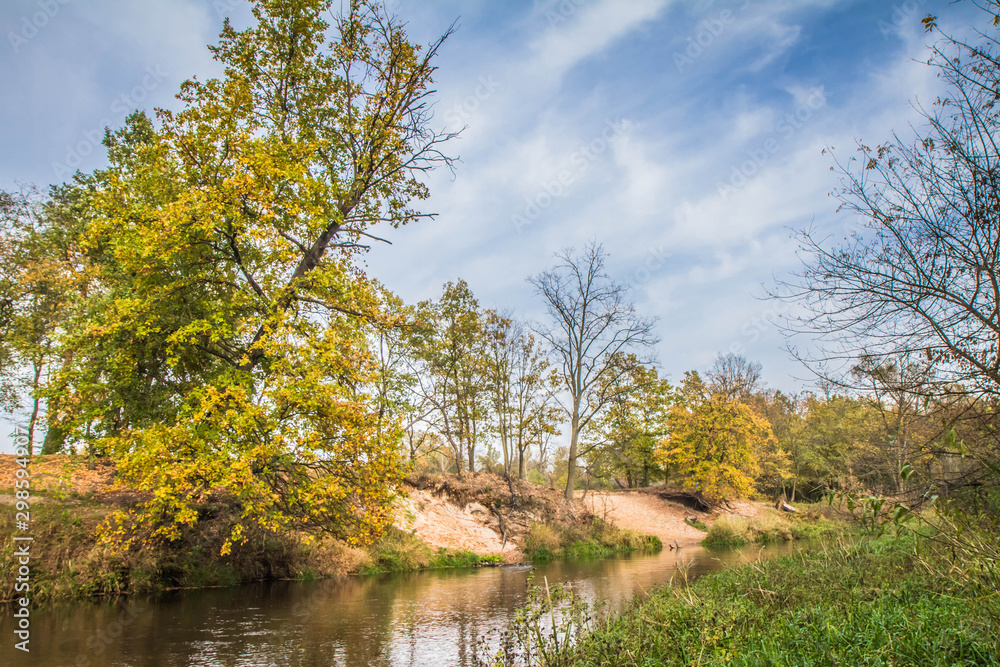 Swider river in Masovia, Poland in autumn Swider river in Masovia, Poland in autumn