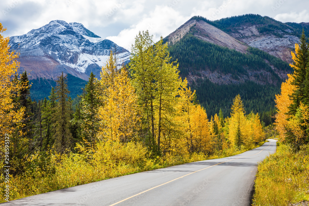 The road is among forests The road is among forests