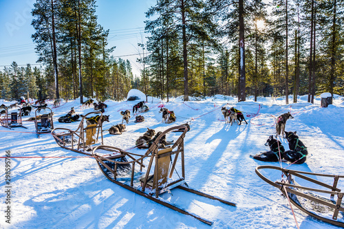 The ride on the sled dogs is over © Kushnirov Avraham
