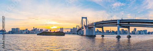Canvas Print Panorama view of Tokyo skyline when sunset. Tokyo city, Japan.