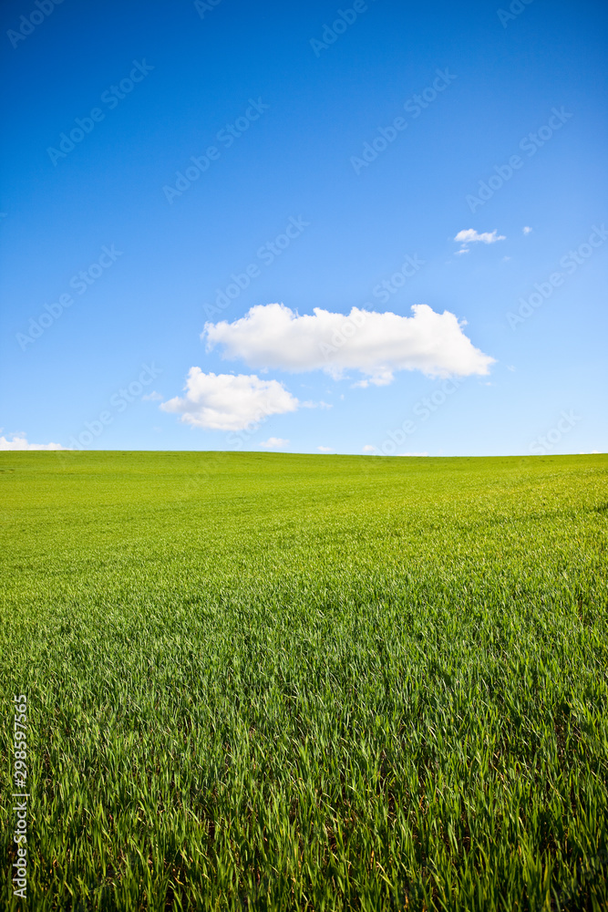 Paysage de campagne. Herbe verte et ciel bleu Stock Photo