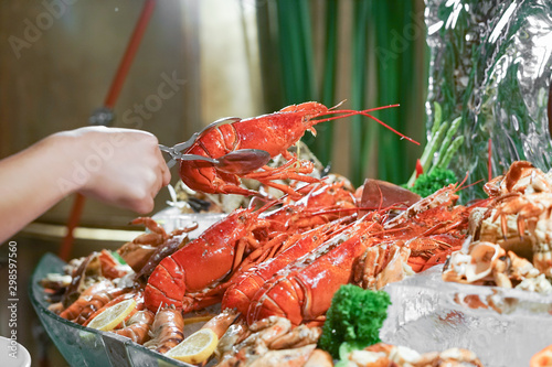 Obraz na plátně Lobster