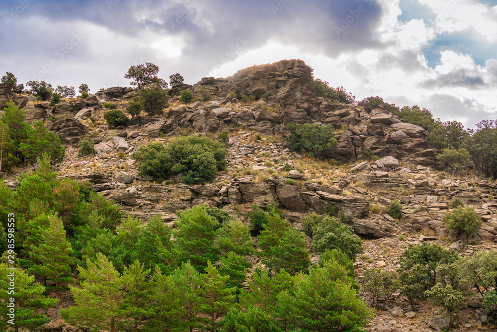 rock formation in Sierra Nevada surrounded by pine trees rock formation in Sierra Nevada surrounded by pine trees