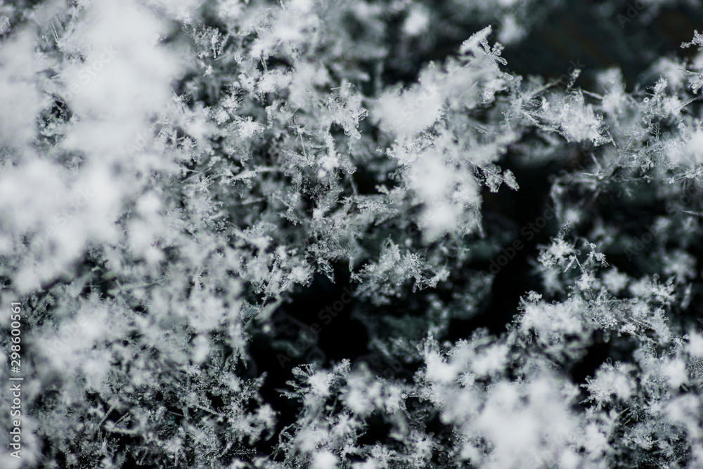 Snowflakes close up shot.