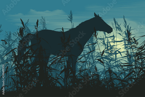 Horse Silhouette with cane and full moon. vector illustration
