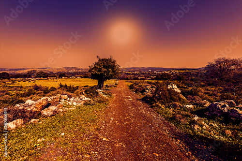 The nature of the western Galilee