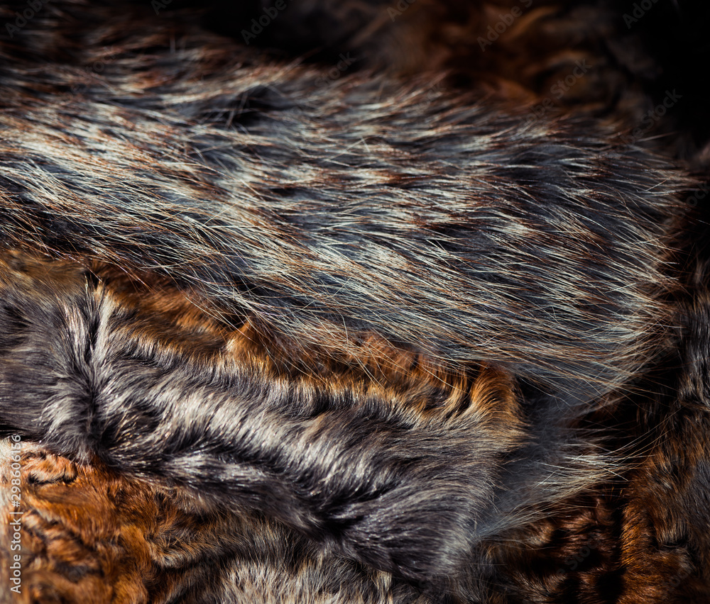 abstract multicolor fur texture with reflecttion over wool surface abstract multicolor fur texture with reflecttion over wool surface