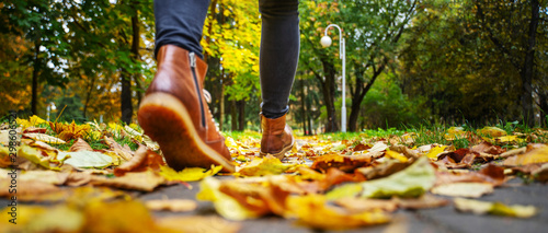Back view on the feet of a woman in black pants and brown boots walking in a park along the sidewalk strewn with fallen leaves. The concept of turnover seasons. Weather background