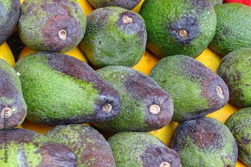 avocado at farmer's market