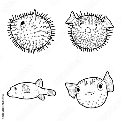 Blowfish Animal Vector Illustration Hand Drawn Cartoon Art