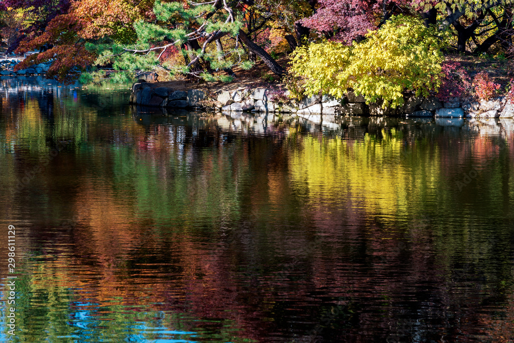 The reflection of colorful autumn leaves on a water. The reflection of colorful autumn leaves on a water.