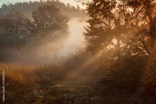 autumn landscape,wallpapers with autumn motifs, red and yellow in October