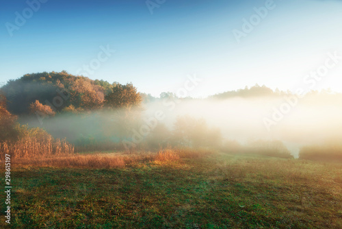 autumn landscape,wallpapers with autumn motifs, red and yellow in October