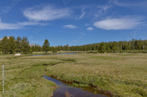scenic view of Tuolumne River and Unicorn Creek on Tuolumne Meadows (Yosemite National Park, California)