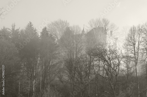 Schloss im Nebel schwarz   wei  