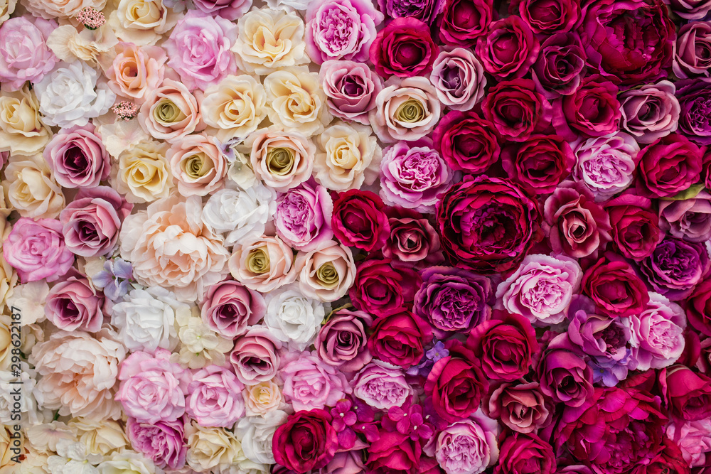 Pared hecha con rosas de diferentes tonos de color Pared hecha con rosas de diferentes tonos de color
