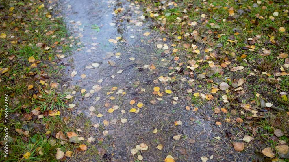 Rain droplets on puddle on gravel road with autumn colored leaves Rain droplets on puddle on gravel road with autumn colored leaves