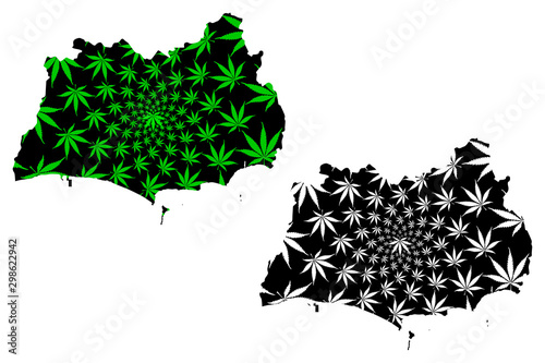 Rayong Province (Kingdom of Thailand, Siam, Provinces of Thailand) map is designed cannabis leaf green and black, Rayong map made of marijuana (marihuana,THC) foliage.... photo