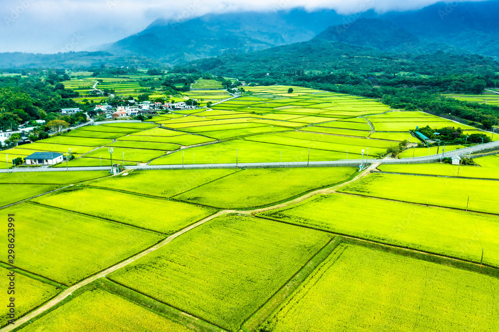 Fototapeta premium Aerial view of Beautiful Rice Fields in taitung . Taiwan.