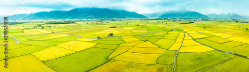 Aerial view of Beautiful Rice Fields in taitung . Taiwan. photo