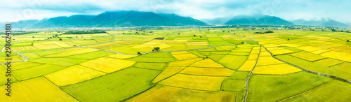 Photography Aerial view of Beautiful Rice Fields in taitung . Taiwan.