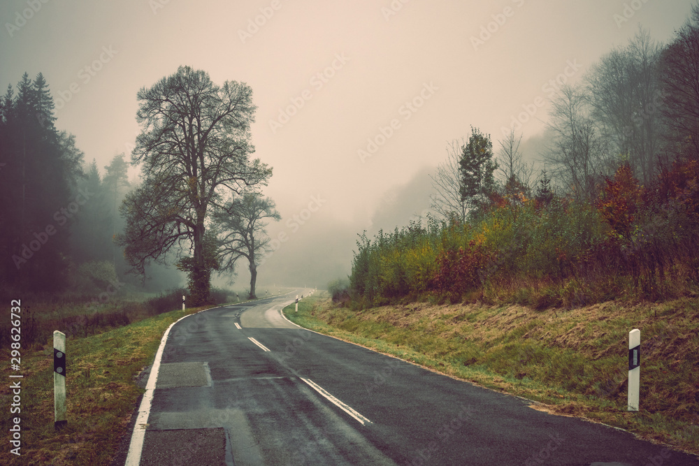 Foggy autumn landscape, sad feelings in the nature. Dark, soft colors. Bad  mood, depression concept Stock Photo | Adobe Stock