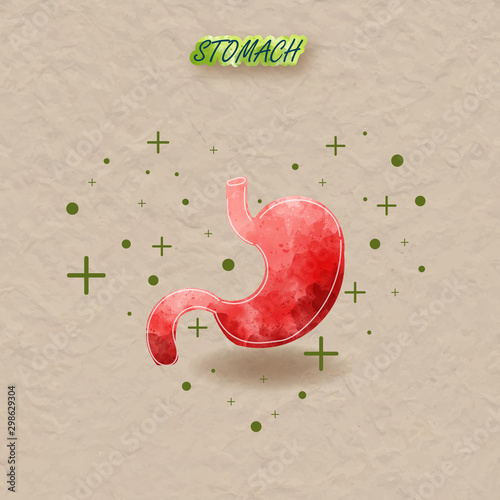 Human stomach water brush style. Water brush stomach on paper texture background vector for web design on white.Vector illustrator