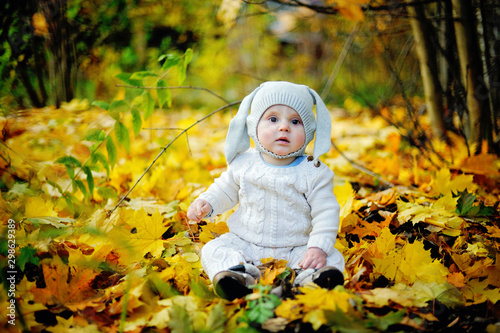 Cute newborn baby in beaty autumn park