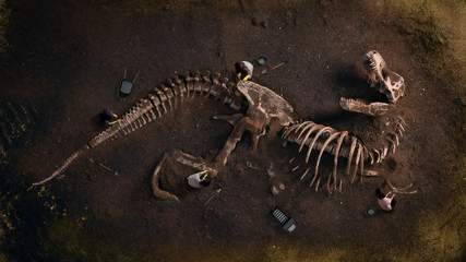 Handdoek met foto Jongenskamer Tyrannosaurus rex fossiel opgraving  © trafa