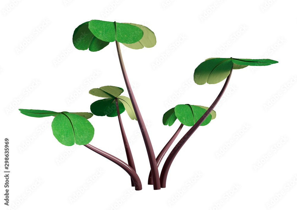 Obraz premium 3D Rendering Wood Sorrel Plant on White