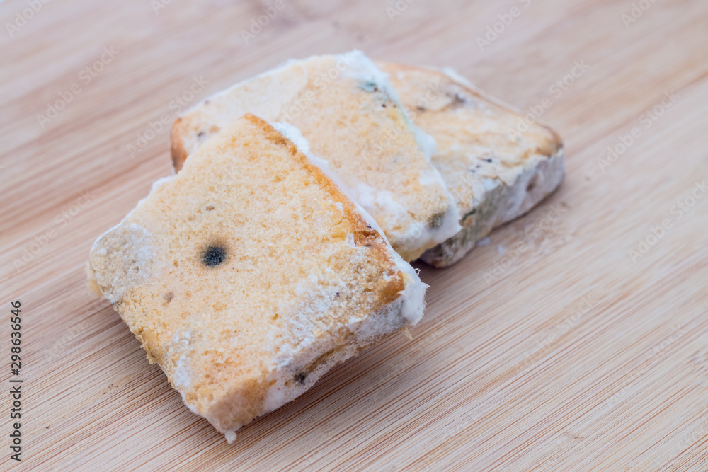 mould on bread mould on bread