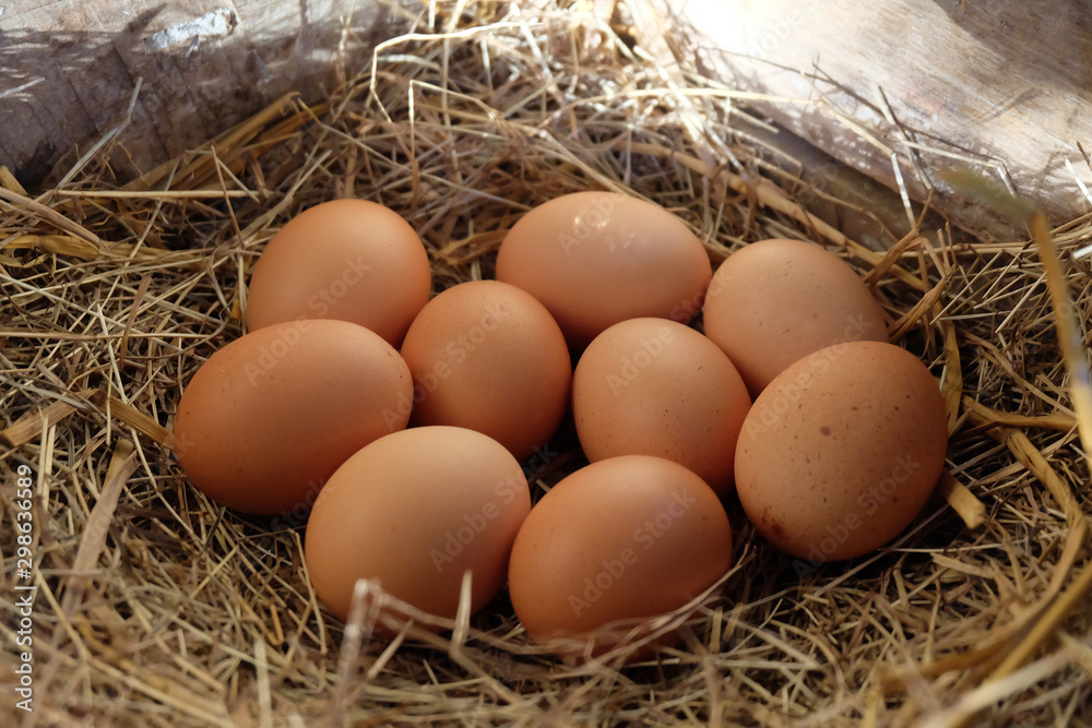 Close-up of fresh chicken eggs with nest in the wooden box, A pile of brown eggs in a nest. Close-up of fresh chicken eggs with nest in the wooden box, A pile of brown eggs in a nest.