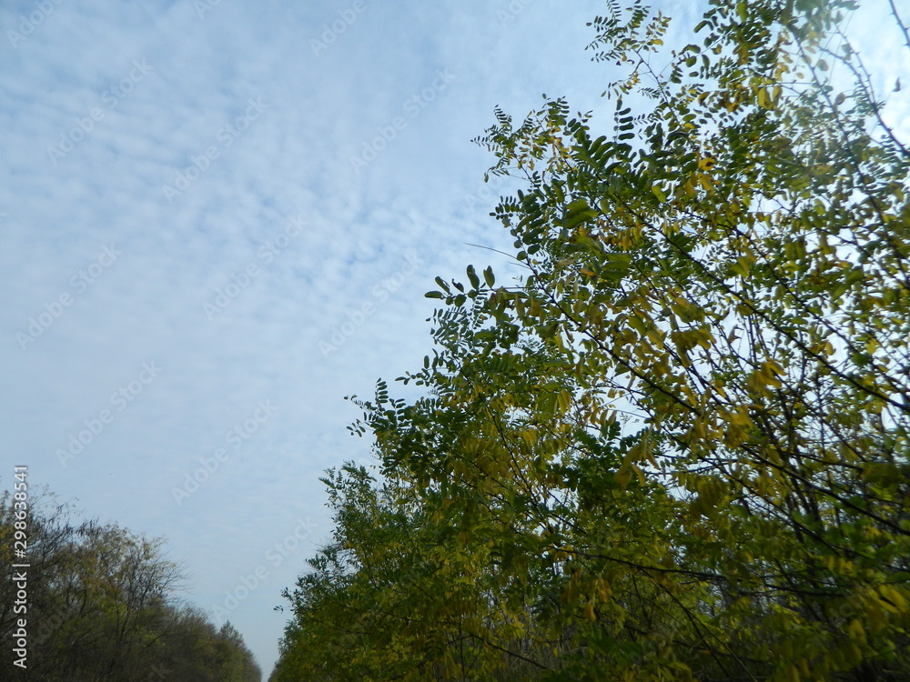 Obraz premium небо