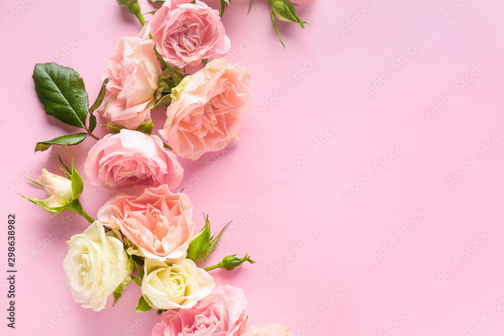 Beautiful blooming roses on color background