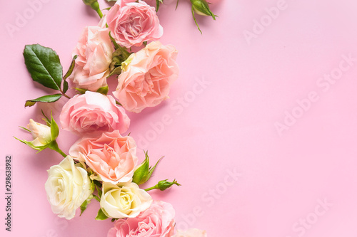 Beautiful blooming roses on color background © Pixel-Shot