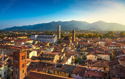 Lucca panoramic aerial view of city and San Martino Cathedral. Tuscany, Italy #298639785