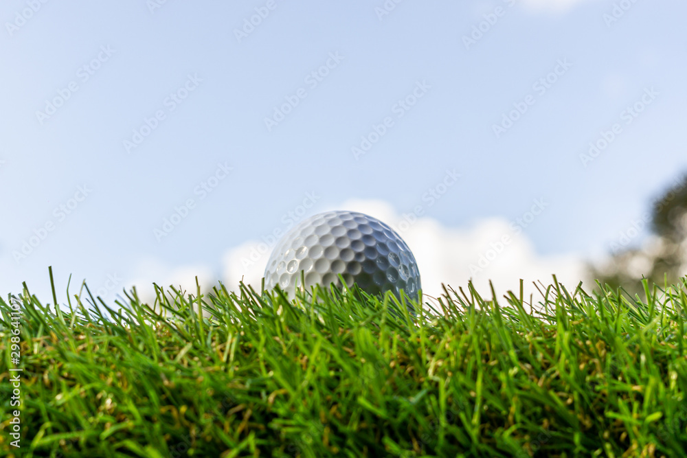 Golf ball on the green,Green grass with golf ball close-up in soft focus at sunlight. Sport playground for golf club concept - wide landscape as background for your lettering about golf playing. Golf ball on the green,Green grass with golf ball close-up in soft focus at sunlight. Sport playground for golf club concept - wide landscape as background for your lettering about golf playing.