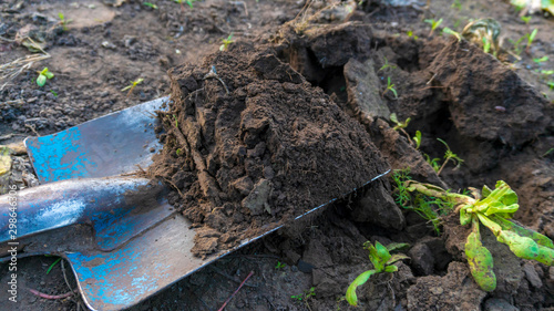 Wallpaper Mural a shovel digging ground close-up Torontodigital.ca