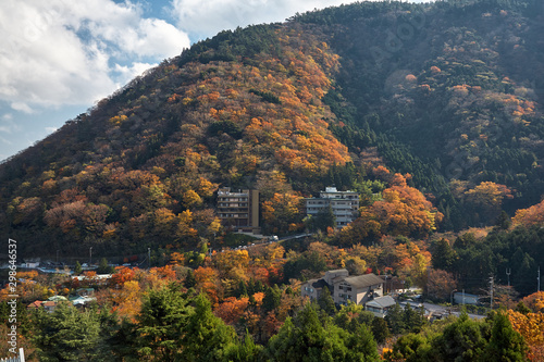 Mountain slopes in the fall. Hakone. Kanagawa. Japan
