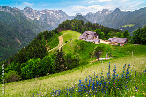 Logar valley view from the Solcava panoramic road, Slovenia