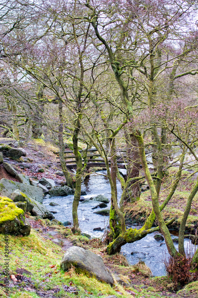 Padley Gorge in peak district national park Derbyshire. Woods and stream with rocks and moss. Green moss and scenic view. Padley Gorge in peak district national park Derbyshire. Woods and stream with rocks and moss. Green moss and scenic view.