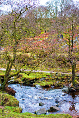 Padley Gorge in peak district national park Derbyshire. Woods and stream with rocks and moss.  Green moss and scenic view. © MARY GULL PHOTO