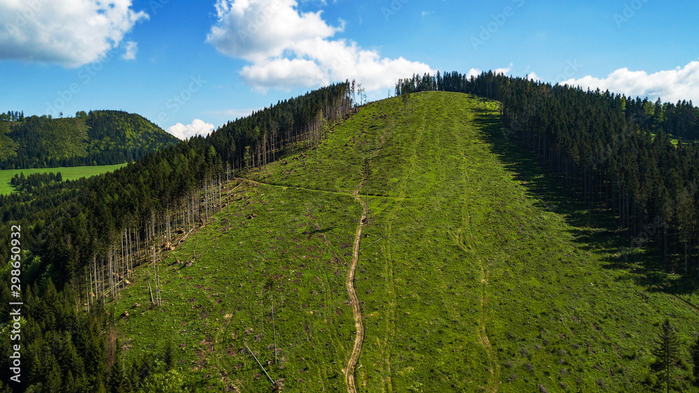 Aerial view of a mountain range with trees in the Tatra Mountains, Slovakia